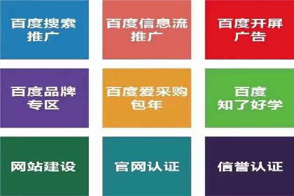 sem运营公司：效果为王的策略